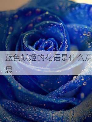 蓝色妖姬的花语是什么意思-第2张图片-七天装修网