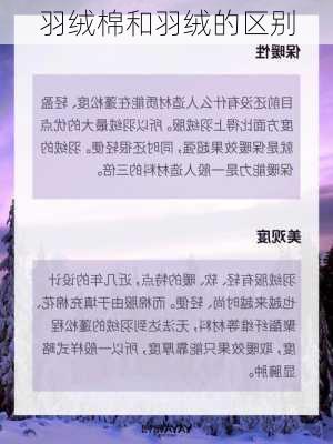 羽绒棉和羽绒的区别-第3张图片-七天装修网