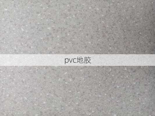 pvc地胶-第1张图片-七天装修网