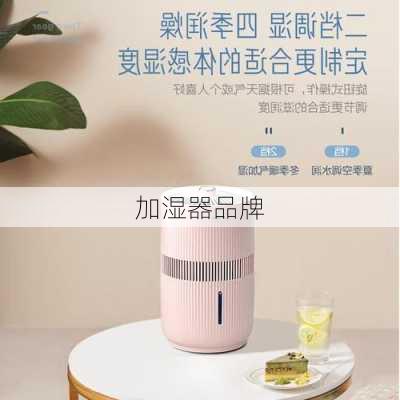 加湿器品牌-第2张图片-七天装修网