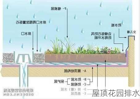 屋顶花园排水