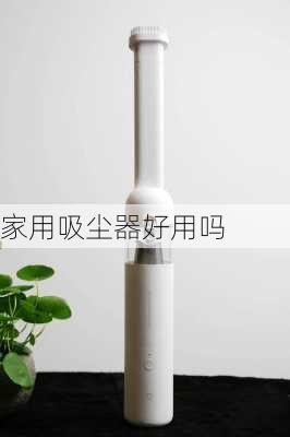 家用吸尘器好用吗-第2张图片-七天装修网