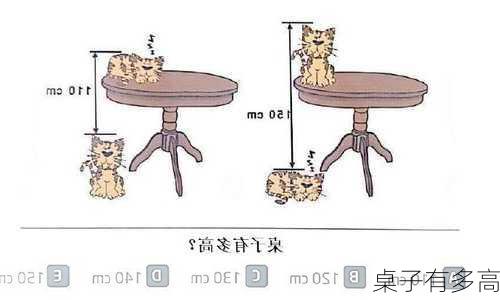 桌子有多高-第1张图片-七天装修网