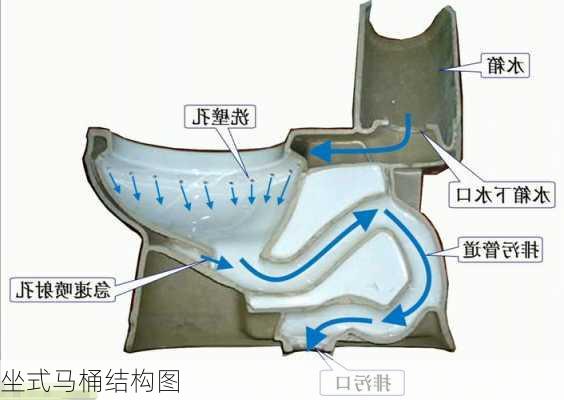 坐式马桶结构图